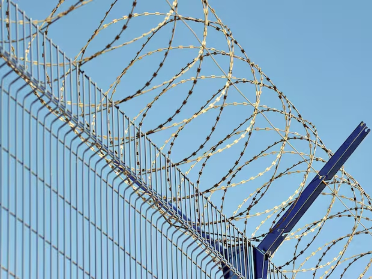 Rs 31,000 crore will be spent for fencing the India-Myanmar border, this border is notorious for smuggling भारत-म्यांमा सीमा पर बाड़ लगाने के लिए 31,000 करोड़ रुपये किए जाएंगे खर्च, तस्करी के लिए कुख्यात है ये बॉर्डर