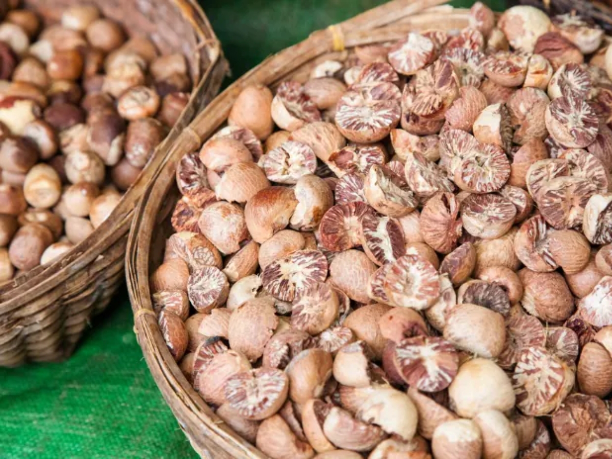 India approves import of fresh betel nut from Bhutan without MIP condition: DGFT भारत ने भूटान से MIP शर्त के बिना दी ताजा सुपारी के आयात की मंजूरी: DGFT