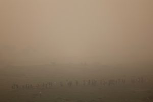 Delhi smog