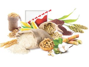 The delicate balance between growth and inflation