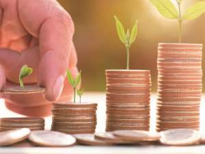 Bonus Share- बोनस शेयर