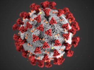 HMPV virus