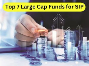 These Large Cap Funds became Sharekhan's Top SIP Pick, the schemes gave annual returns of 14-23% in 3 years; see details ये Large Cap Funds बने शेयरखान के Top SIP Pick, स्कीम्स ने 3 साल में दिया 14-23% का सालाना रिटर्न; देखें डीटेल