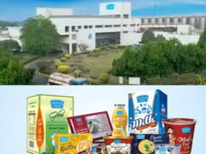 Mother Dairy