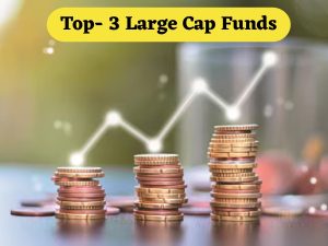 Large Cap Funds