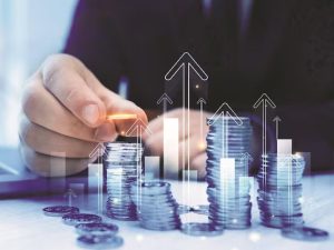 Canara Robeco Large and Mid Cap Fund