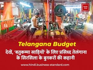 Telangana budget Saree industry