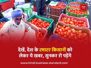 Tomato farmers tomato price