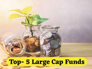 Large Cap Fund