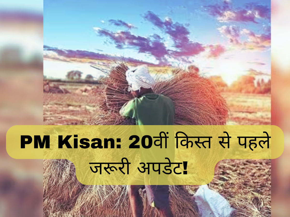 PM Kisan Scheme