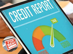 credit report on rent