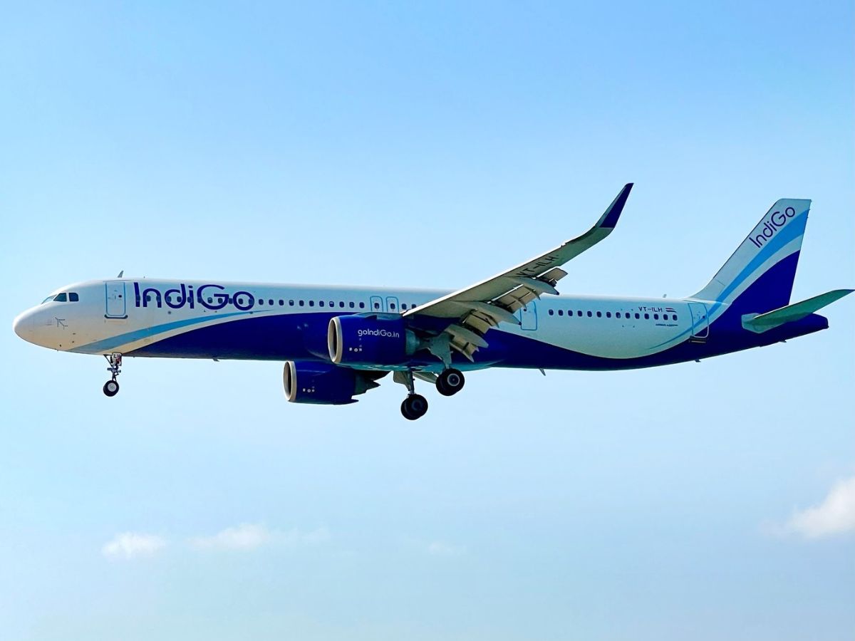 Indigo
