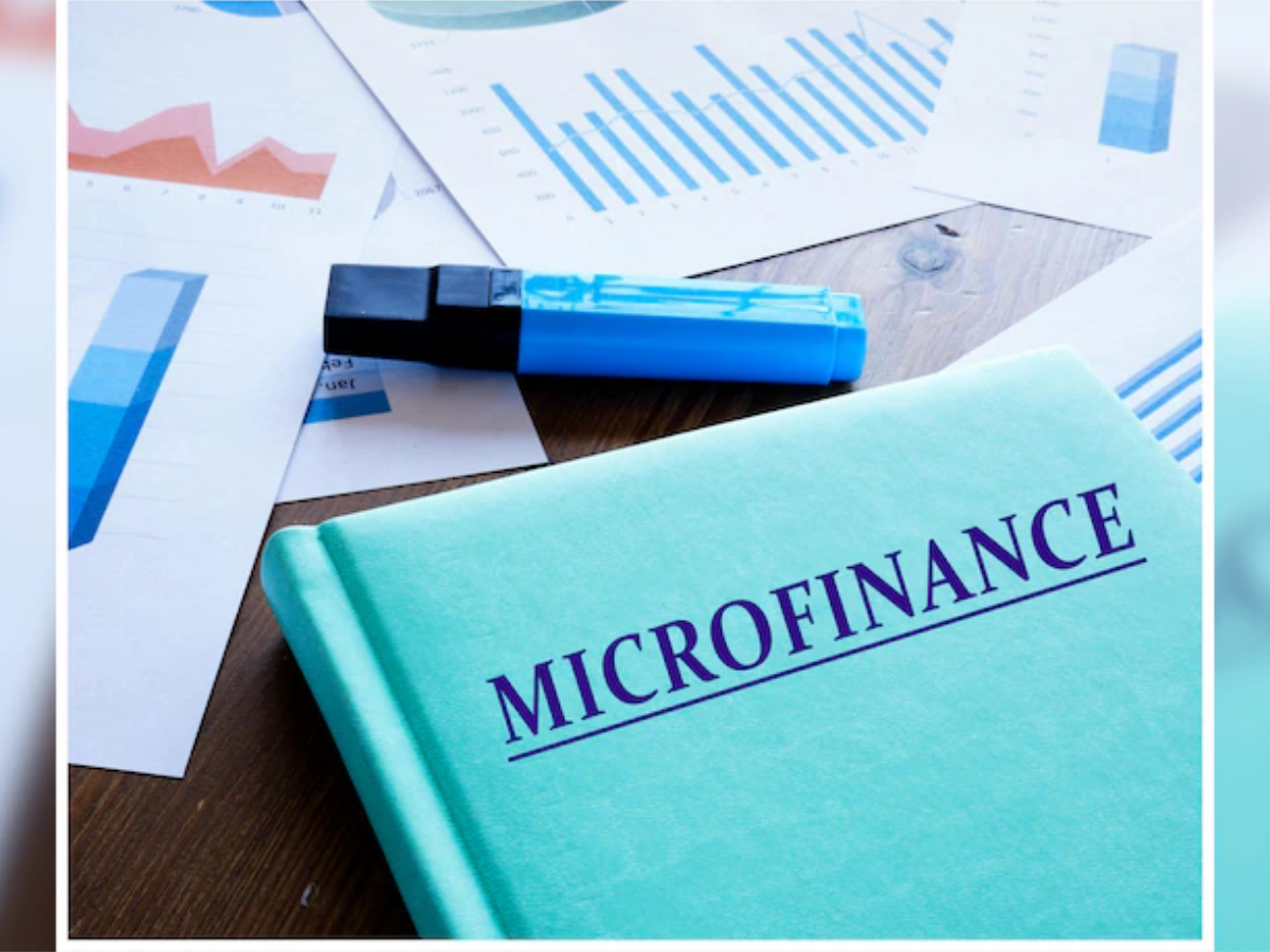 Microfinance Sector