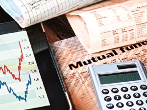 Small Cap Index funds