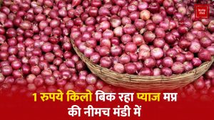 Onion price