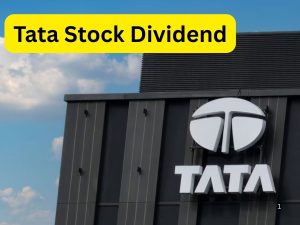 Tata Stock Dividend
