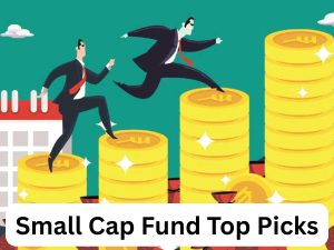 Sharekhan Top-4 Small Cap Fund Picks