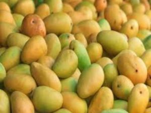 Mango Malihabadi