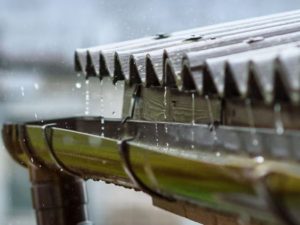 rainwater harvesting