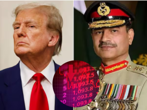 VIC Chengdu share price crashes