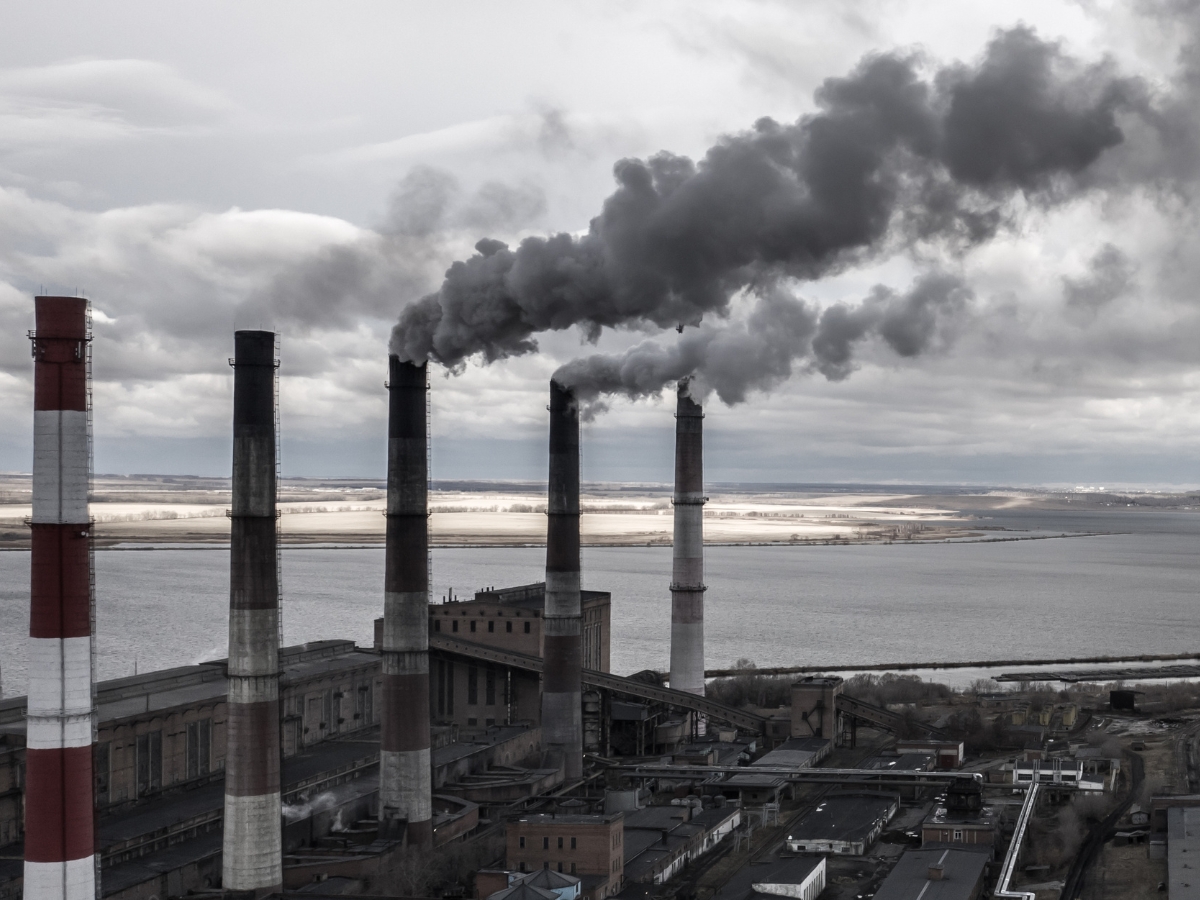 Coal