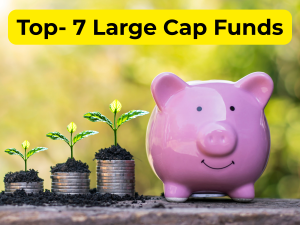 Large Cap Fund