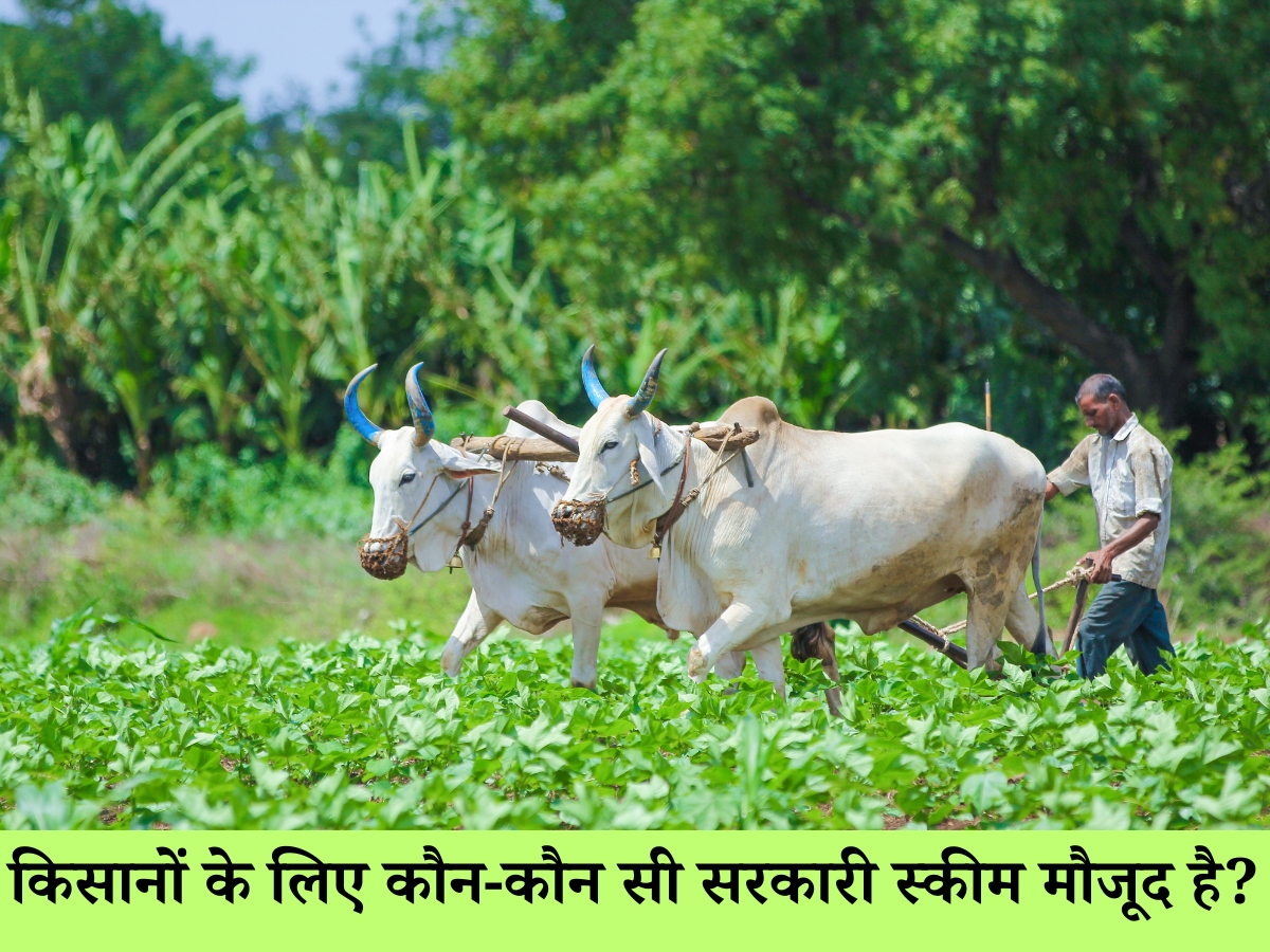 farmers welfare scheme
