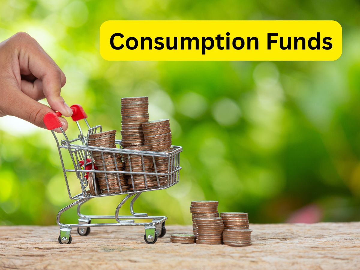 Consumption Funds