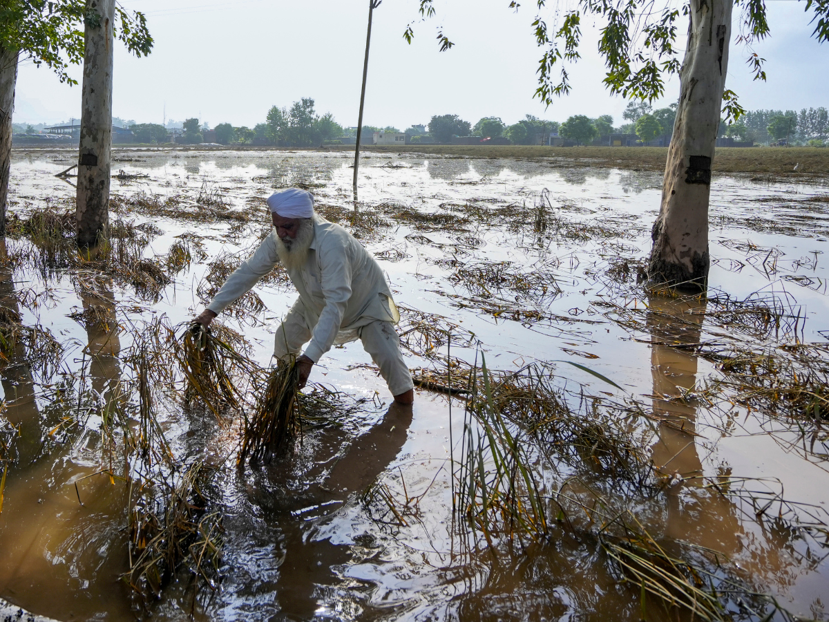 Punjab floods