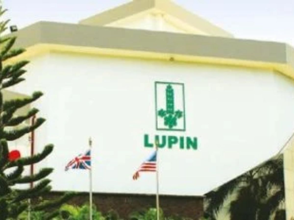 Lupin
