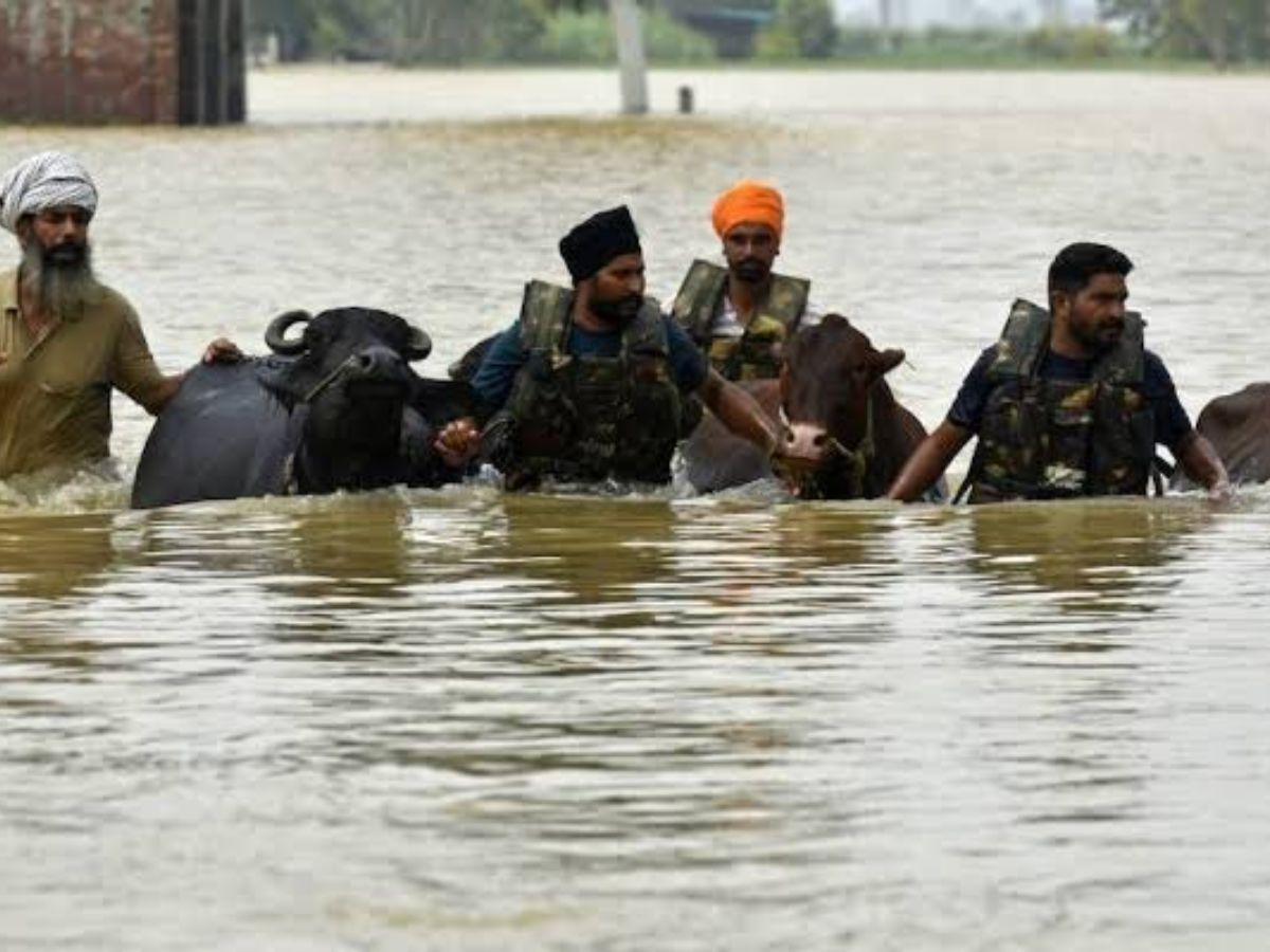 Punjab Flood