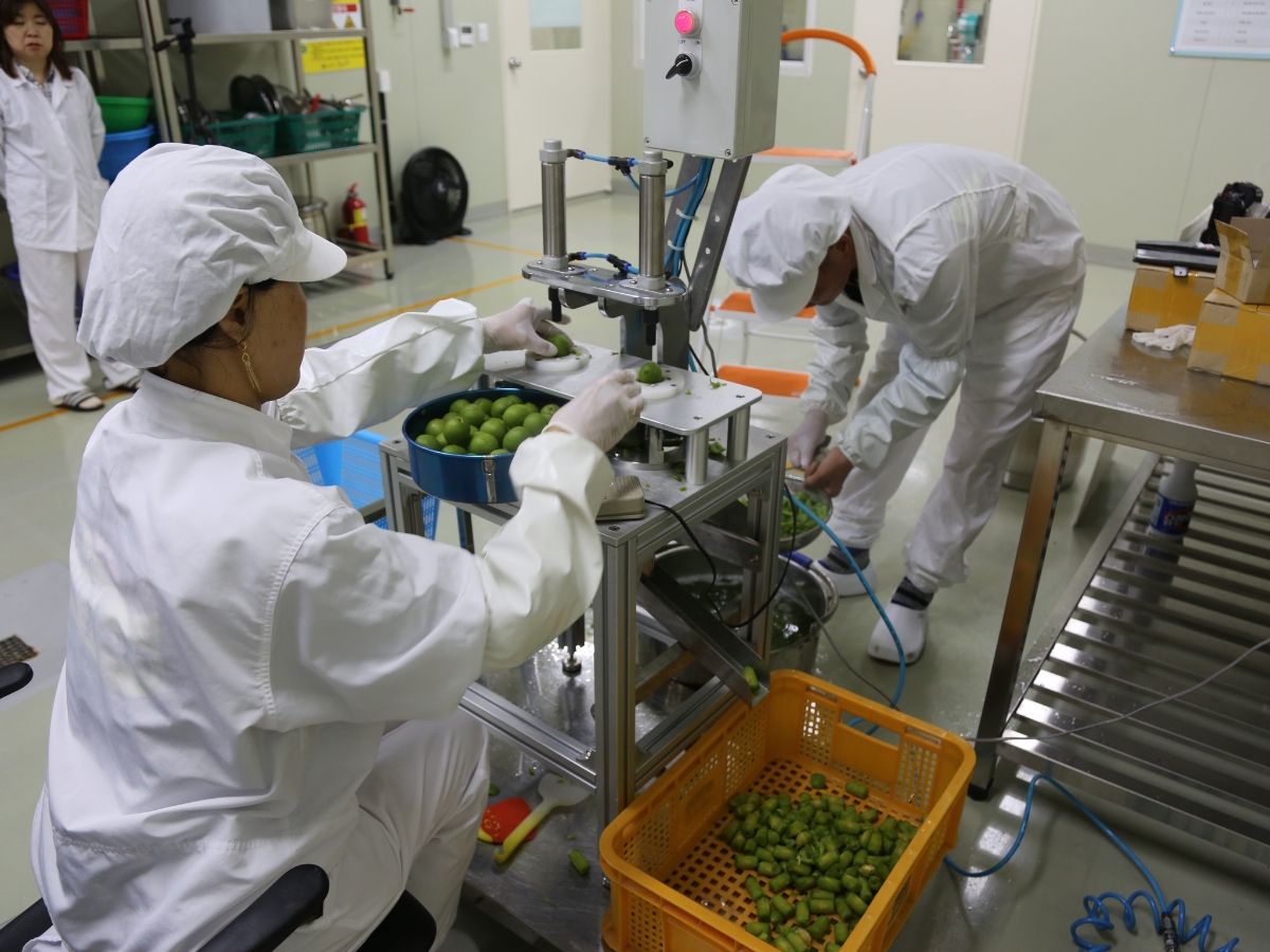 food processing