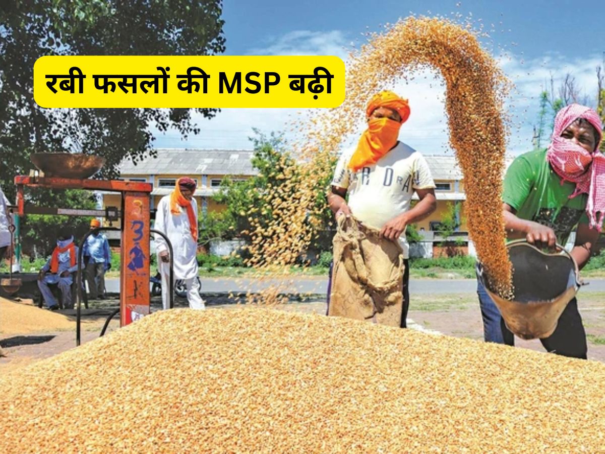 Rabi Crops MSP Hike