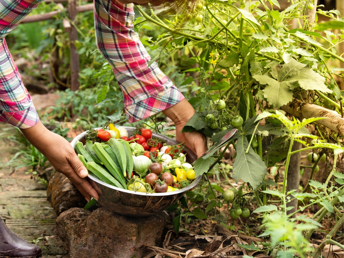 Organic Farming