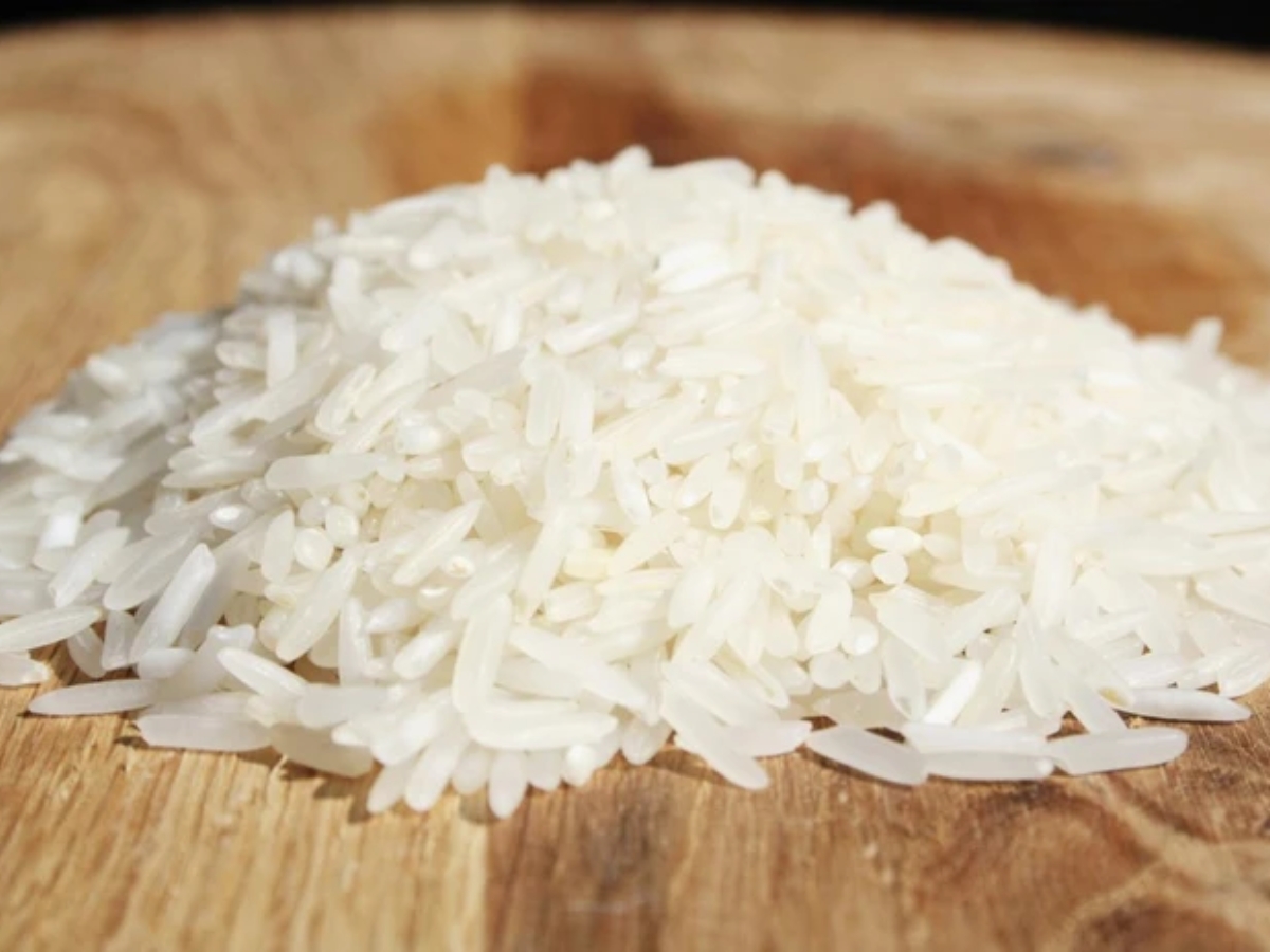 rice stocks