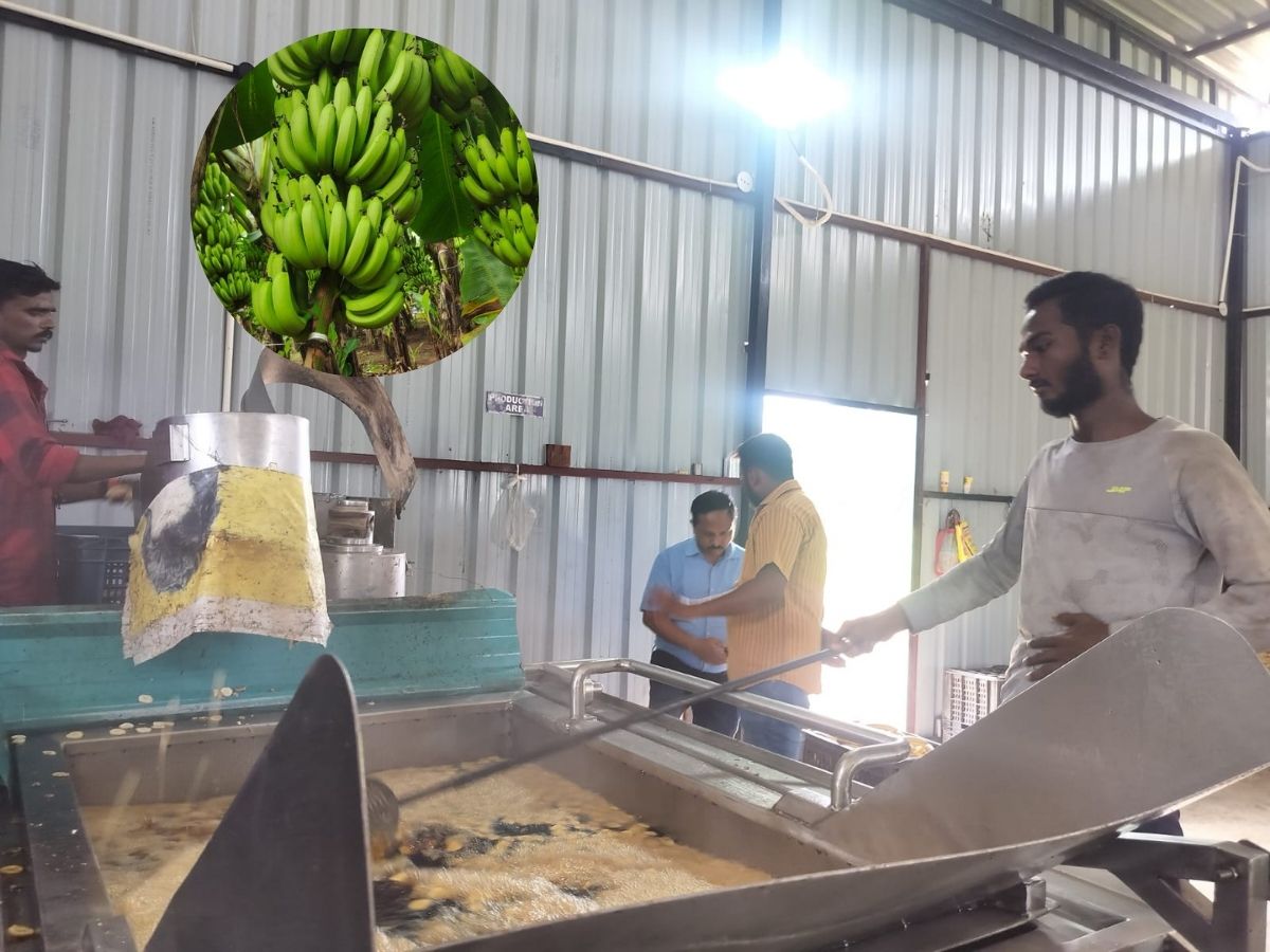 Banana Chips