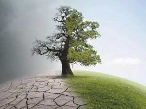 Climate Change