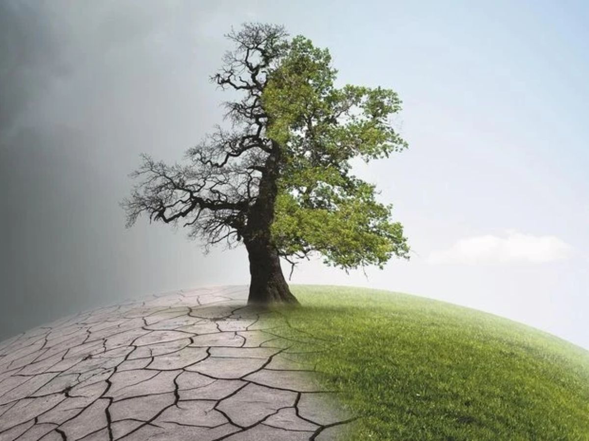 Climate Change