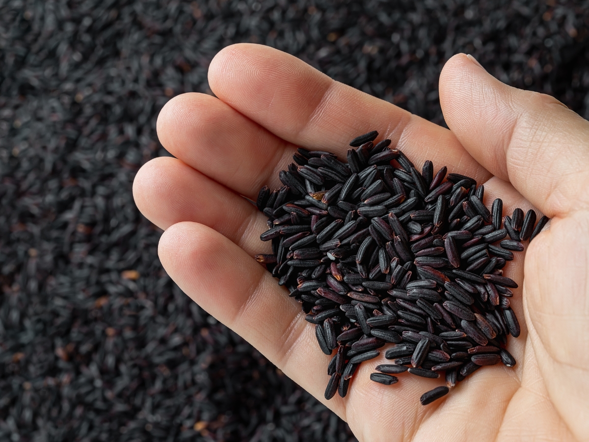 kala namak rice