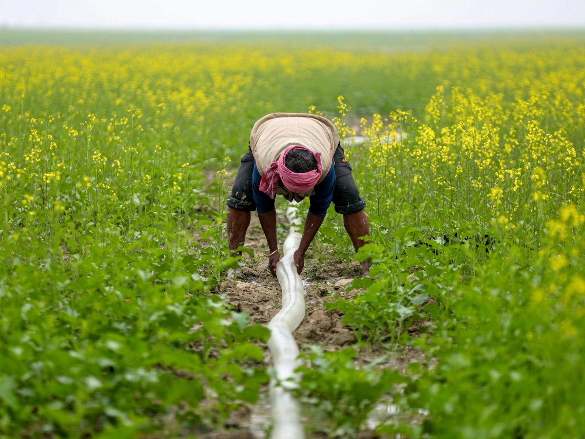 Farmers