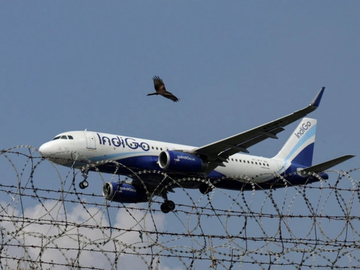 Indigo Q3 Results