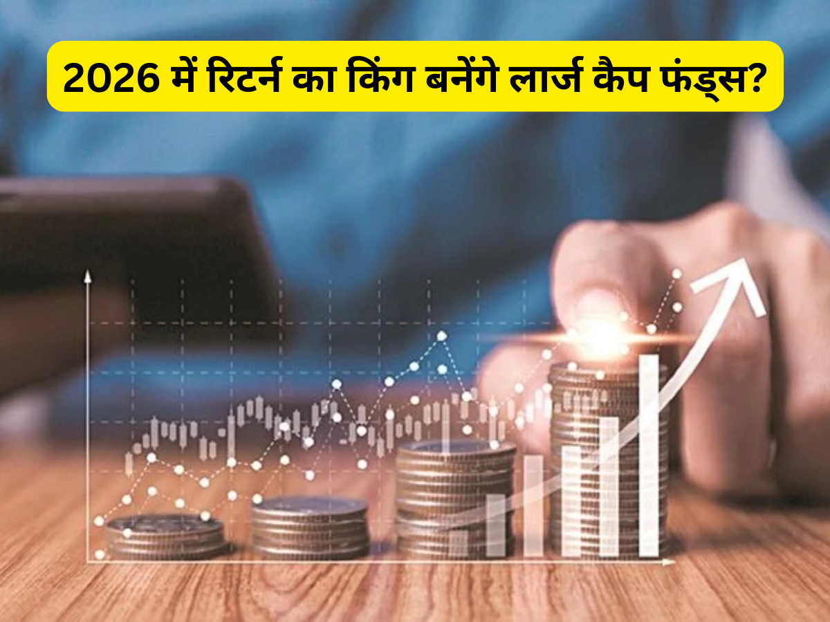 Large Cap Funds