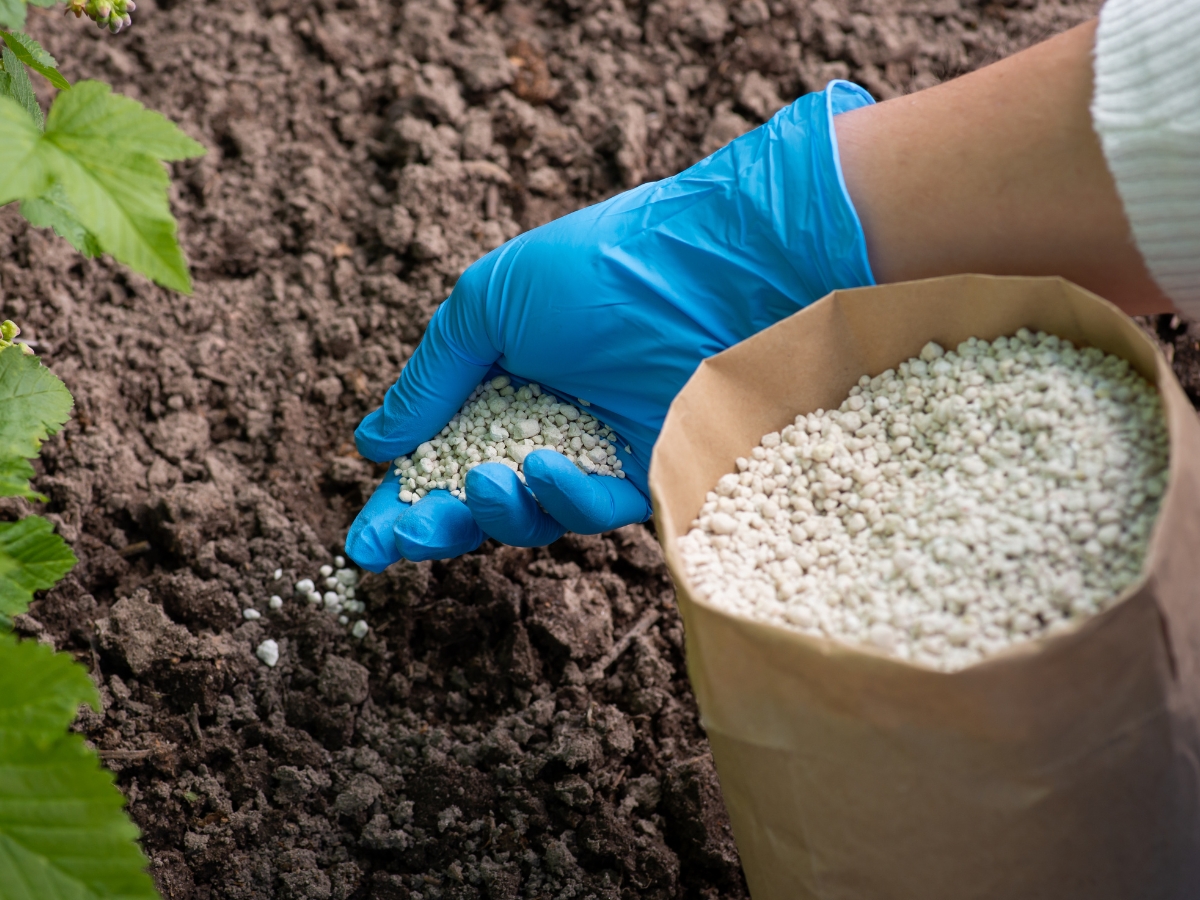 Fertilizer