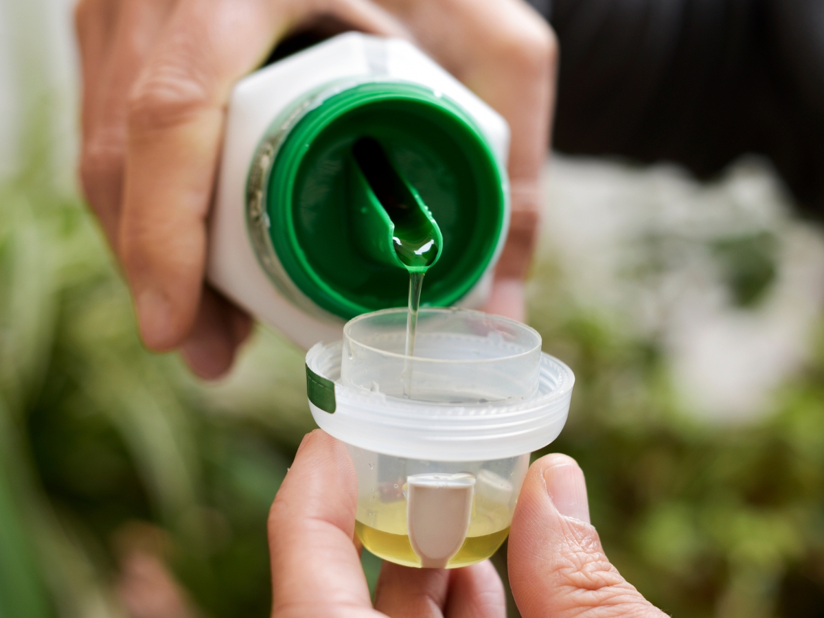 nano fertiliser