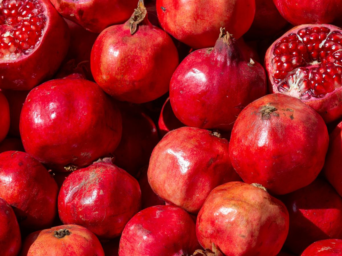 pomegranate