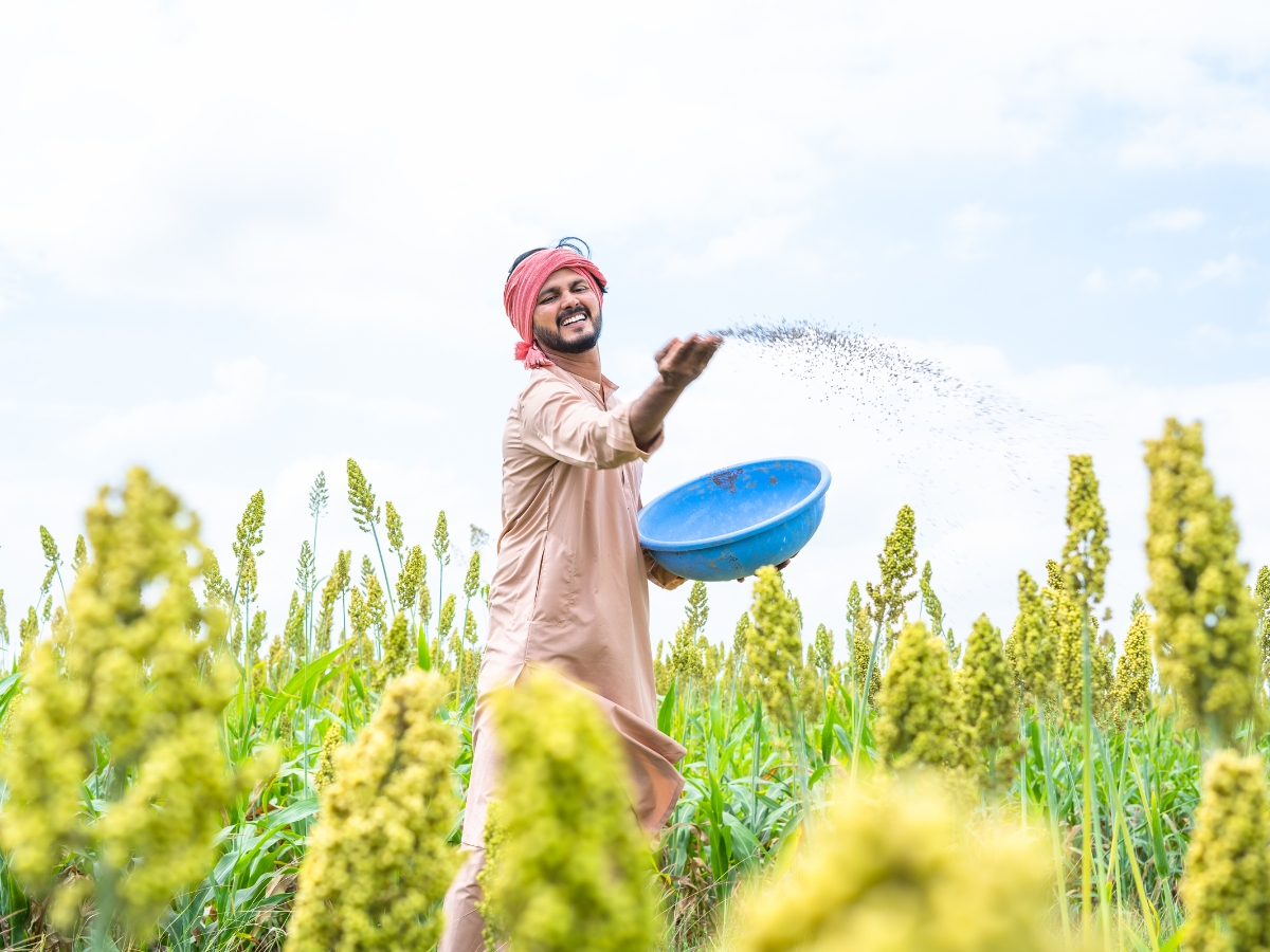 Farmer