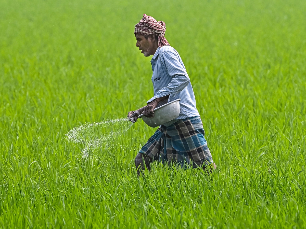 indian farmer