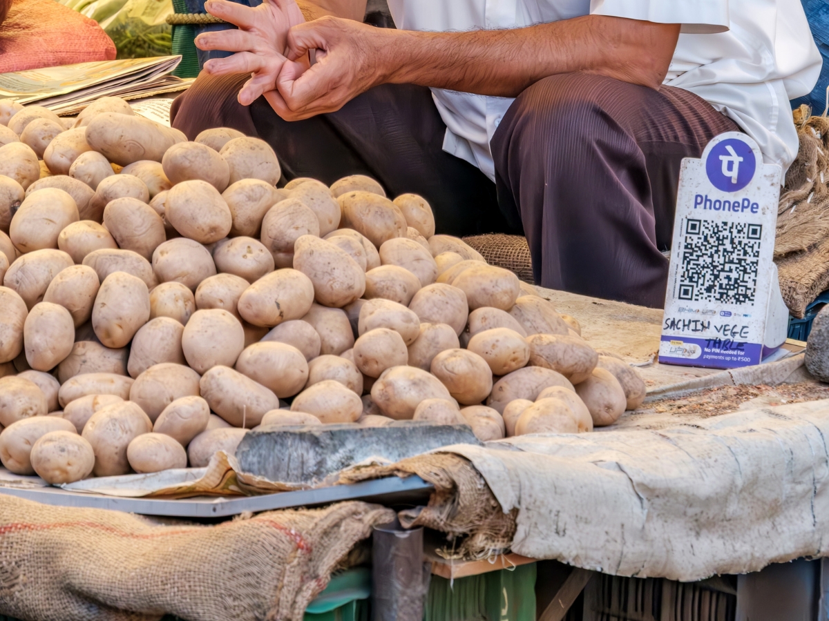 potato
