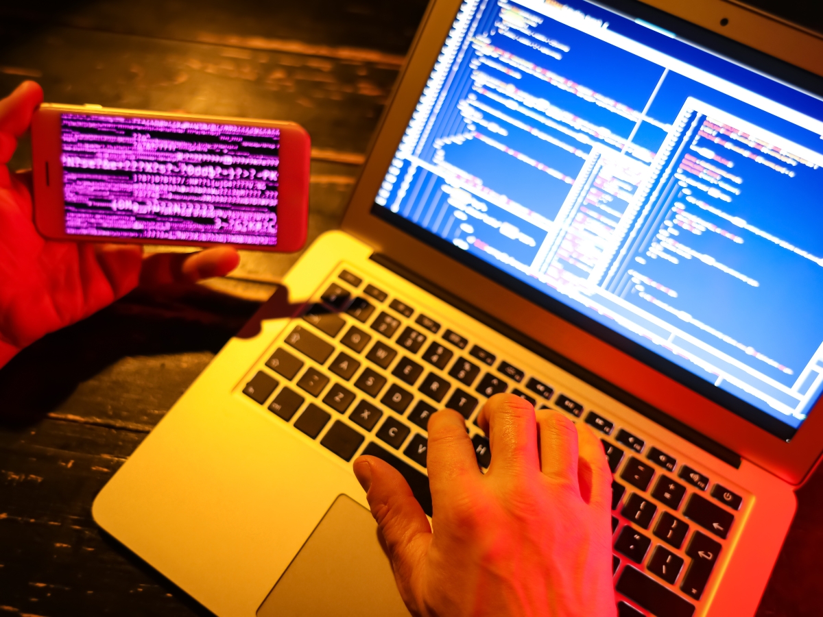 Digital Fraud