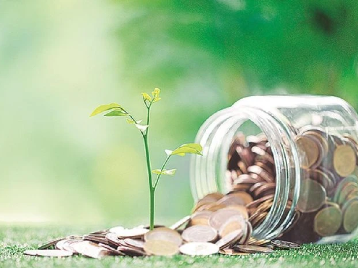 Mutual Fund